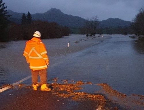 Coromandel Storm Damage Response